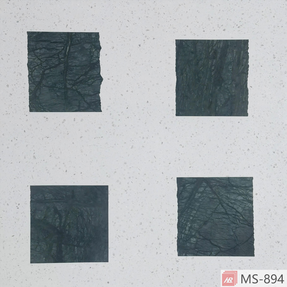 MS-894